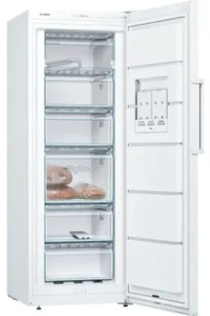 Expédié Aujourd'hui Congélateur armoire GSV29VWEV 198 Litres
