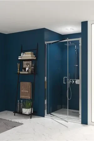 Acheter En Ligne Porte de douche Smart Express P 100 cm Profilé chromé