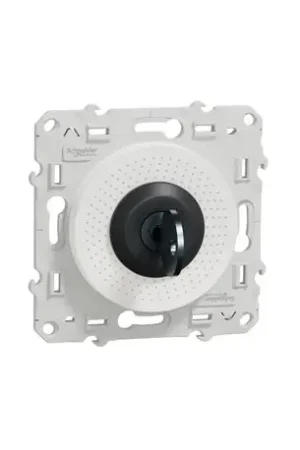 Acheter Direct Interrupteur à clé 3 positions Odace S520286 Blanc