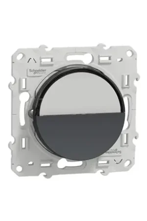 Achat Immédiat Bouton-poussoir Odace S540266 Anthracite avec porte-étiquette
