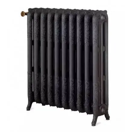 Floréal Orné - Radiateur chauffage central - Chappee Produit De Marque
