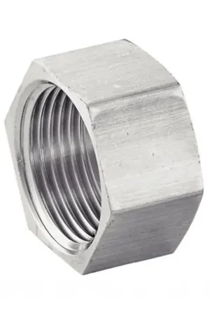 Bouchon plomberie femelle tête hexagonale inox 316 L 80 - Réf : 652293-80 Nouveauté